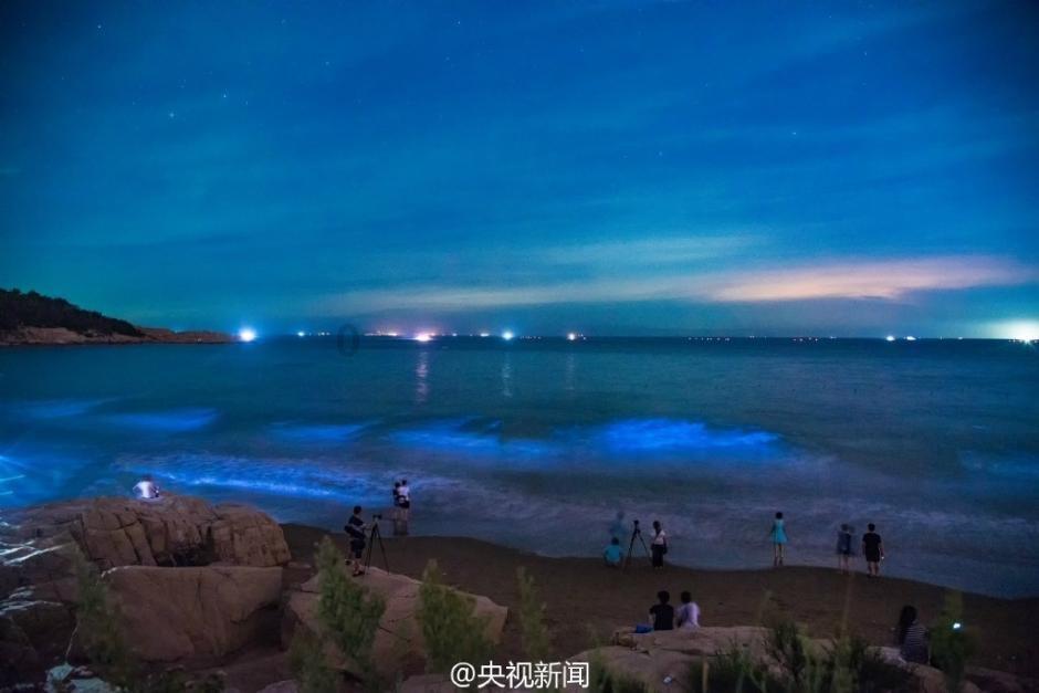 逃出神奇蘑菇林