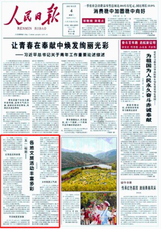 逃离神秘之林